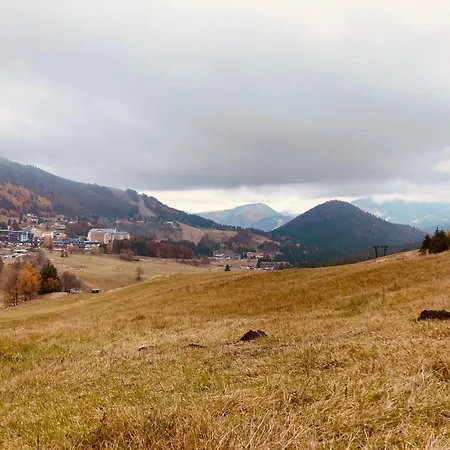 Panorama *