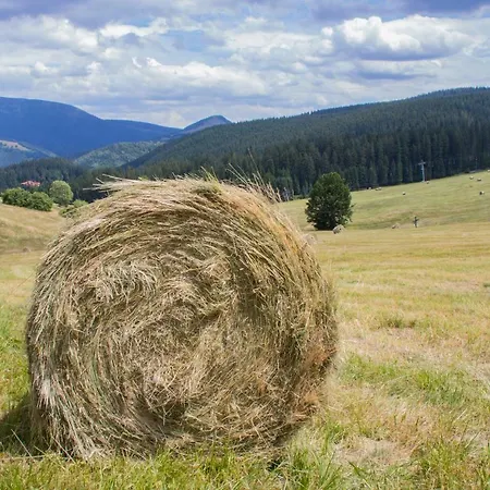Appartamento Panorama *