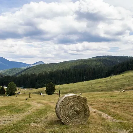 Panorama Apartment *